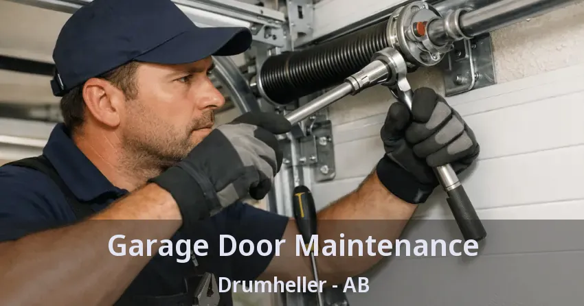 Garage Door Maintenance Drumheller - AB