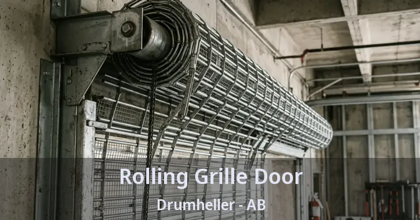 Rolling Grille Door Drumheller - AB Rolling Grille Door Drumheller - AB